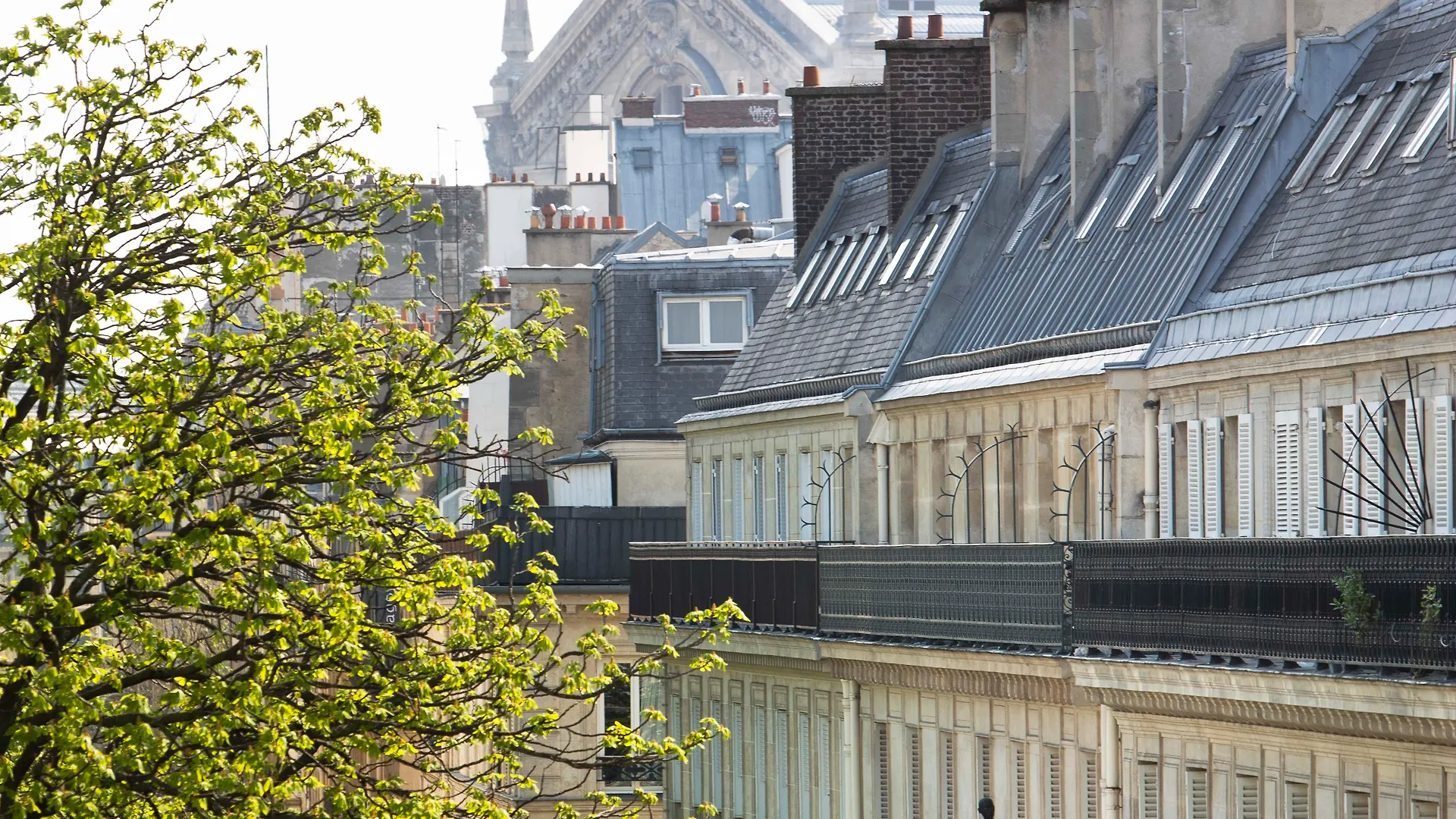 Monsieur & Hotel 4*